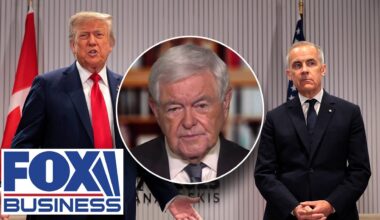 Trump just proved this to the Canadians, Newt Gingrich says