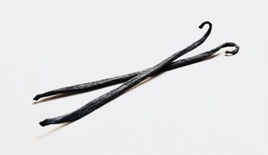 Climate change could mean the end for the world's favourite flavour (vanilla)