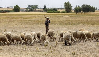 Climate Change Fueling 'Most Widespread and Damaging' Droughts in History: UN Report