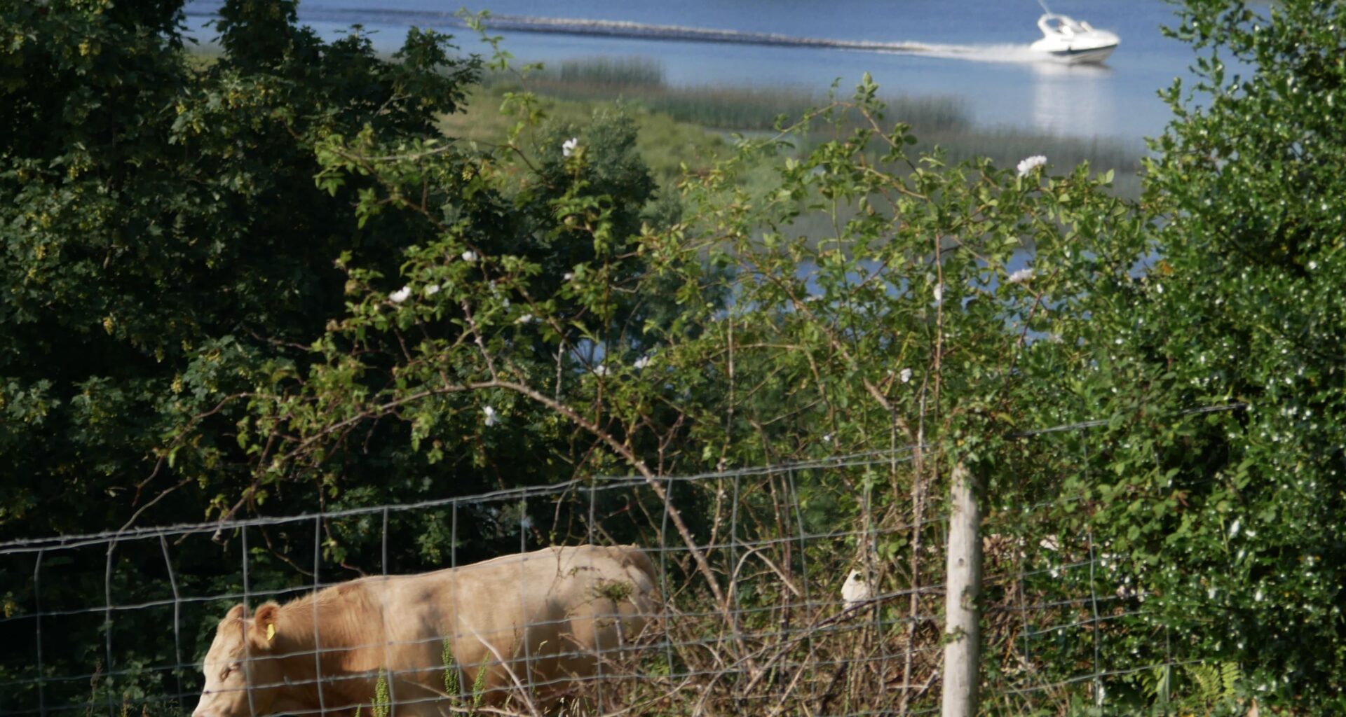 Nice view from the B&B in Fermanagh