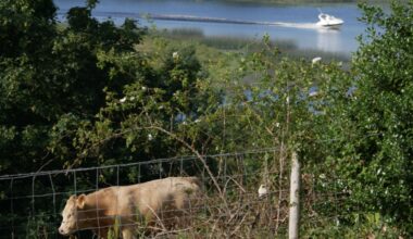 Nice view from the B&B in Fermanagh