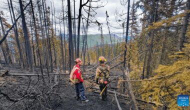 Firefighters work at wildfire site in British Columbia, Canada-Xinhua