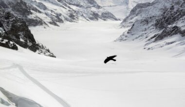 Die Schweizer Gletscher schrumpfen wieder