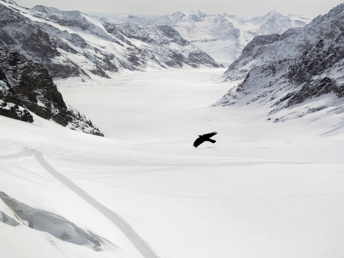 Die Schweizer Gletscher schrumpfen wieder