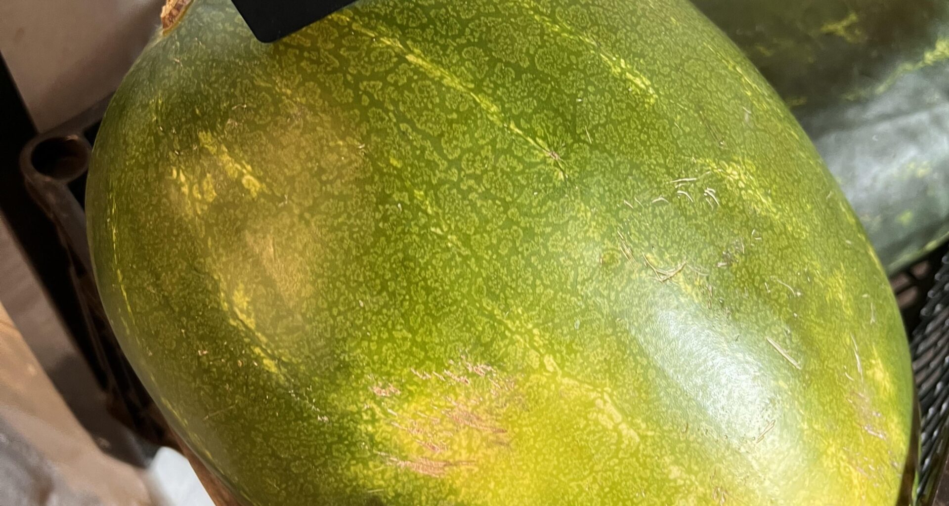 Til CEO-vandmelonen: Der er niveauer til det her spil