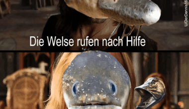 Ich_iel