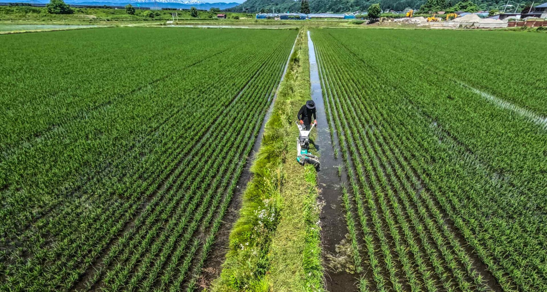 Japan's rice price shock exposes PM Ishiba to voter anger as election looms