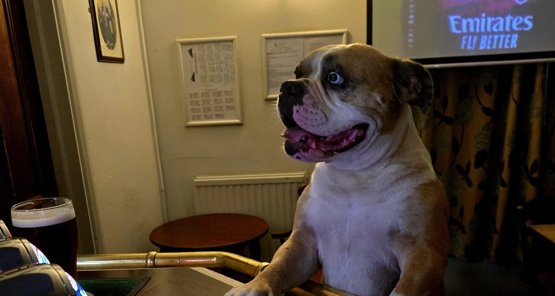 What's he ordering?