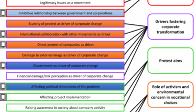 Observing crossroads to corporate climate action through insights from Japanese and German climate activists