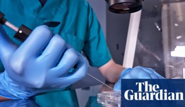 Lab-grown sperm and eggs just a few years away, scientists say | Reproduction