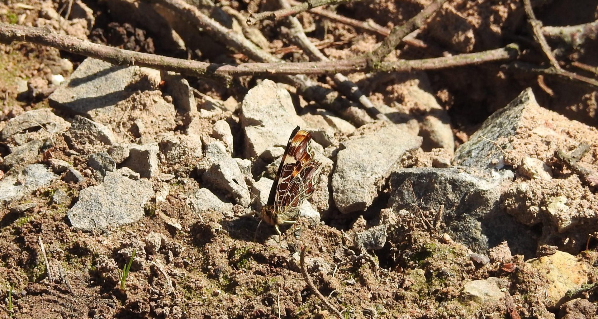 Habe ich da ein Landkärtchen gefunden?