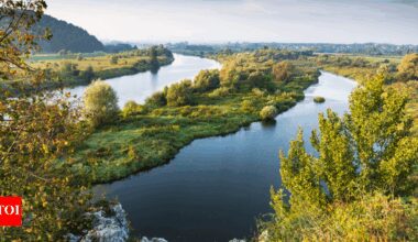 Drought plunges Poland's longest river to record low