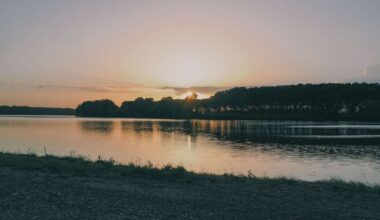 „Geistergeschwister“ nach drei Jahren in Wald entdeckt