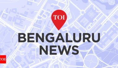 India’s startup surge to go beyond metros by 2035: TiE | Bengaluru News