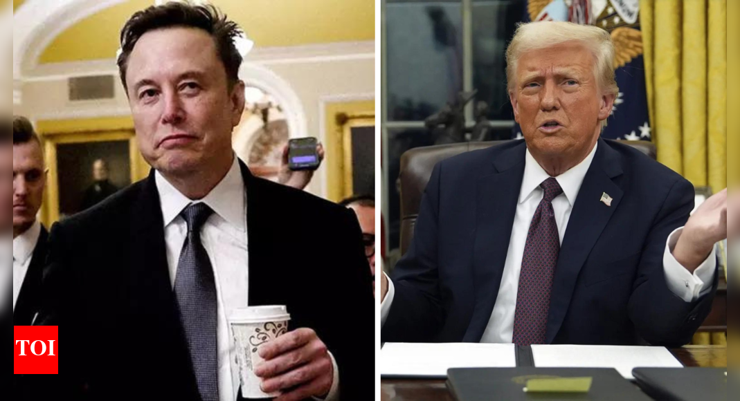 'It's ridiculous': Donald Trump mocks Elon Musk's 'America Party'; says 'he can have fun with it'