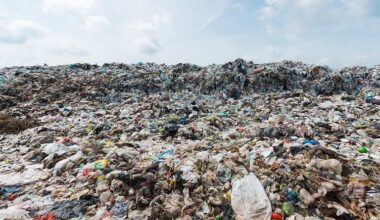 Malta needs urgent reforms in waste management, European Commission says