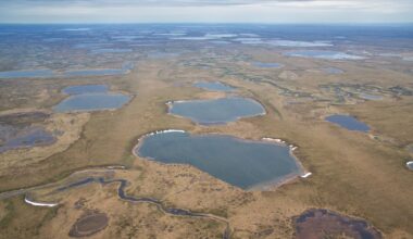 USGS report says federal lands in Alaska hold large share of undiscovered US oil, gas