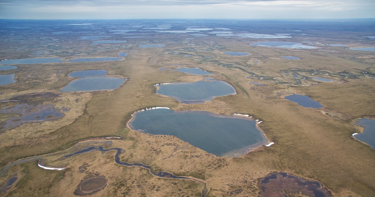 USGS report says federal lands in Alaska hold large share of undiscovered US oil, gas