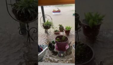 Flooding in Seguin leaves homes damaged