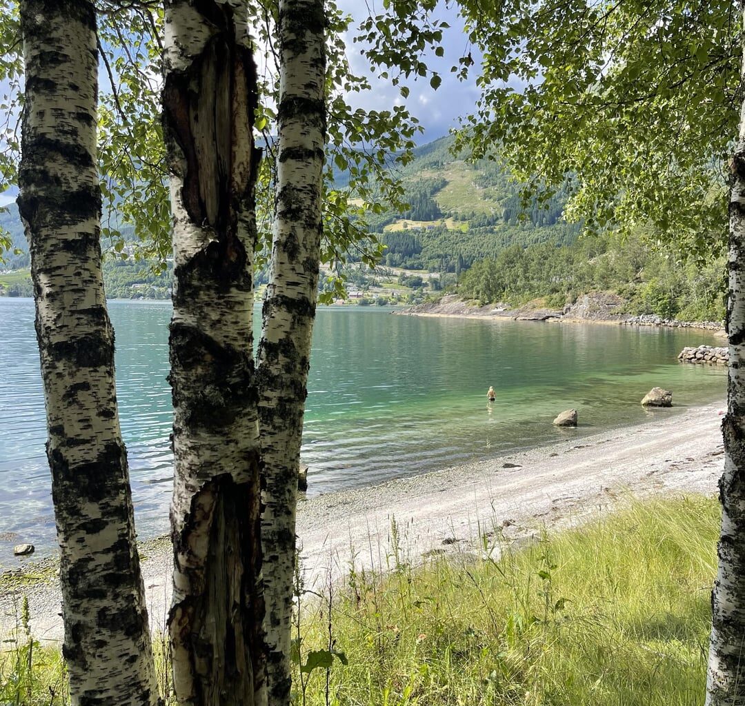 peaceful summer moments & 100 shades of green💚 nordfjord