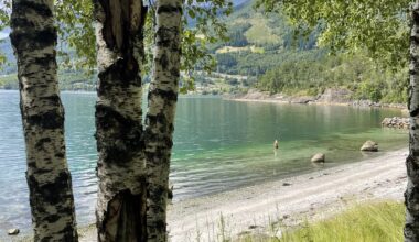 peaceful summer moments & 100 shades of green💚 nordfjord