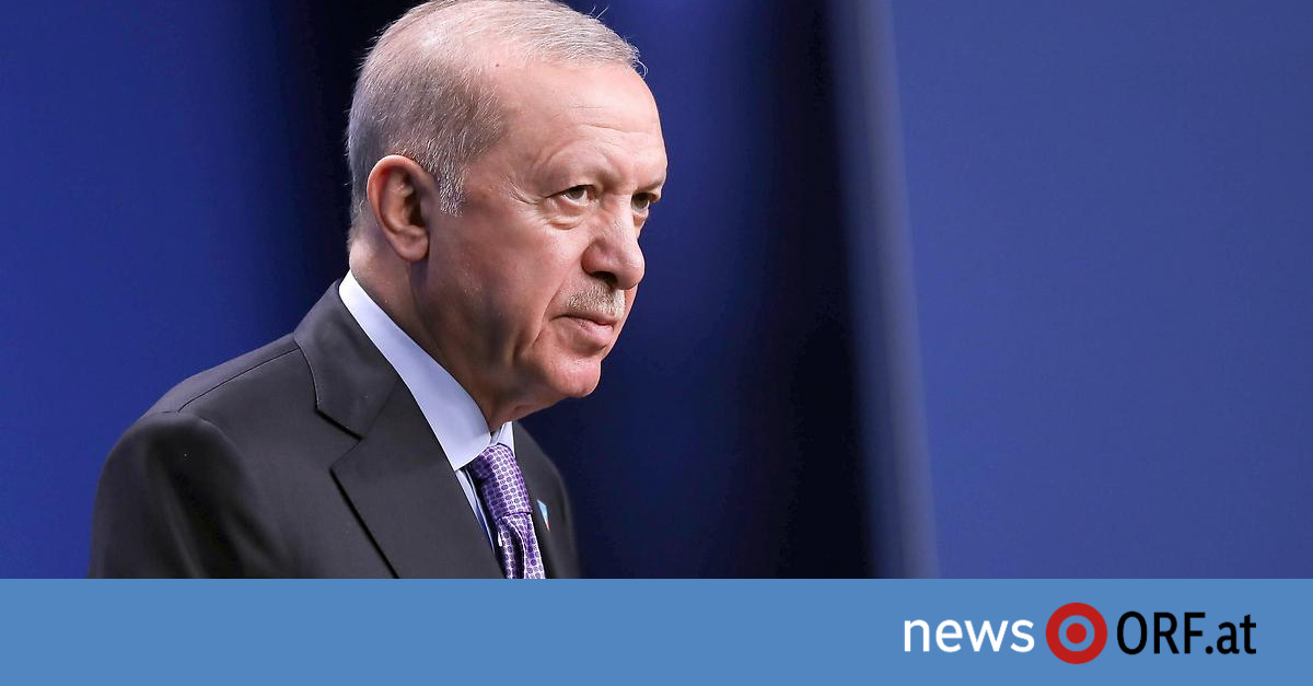 Opposition im Visier: Erdogans Gebot der Stunde