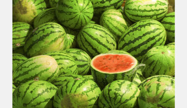 Heat drives up watermelon prices in South Korea