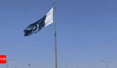 Beijing, Ankara hail PAF’s combat edge amid tensions with India