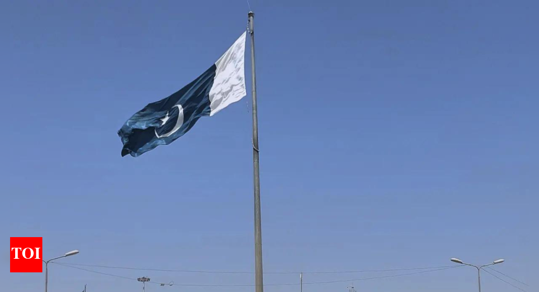 Beijing, Ankara hail PAF’s combat edge amid tensions with India