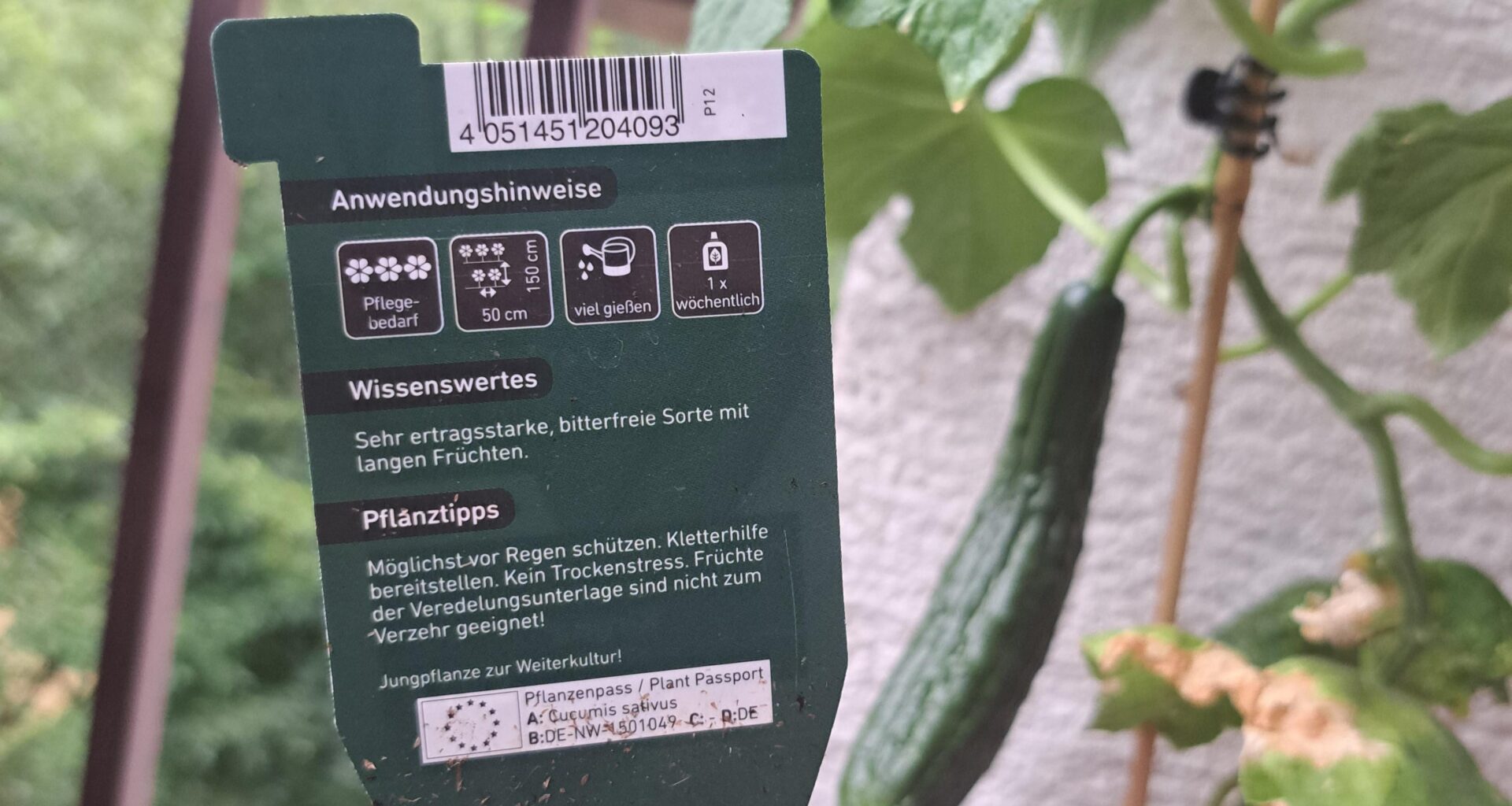 Kann ich die jetzt essen oder nicht?