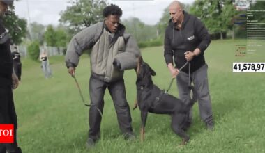 “I’m scared, bro!”: IShowSpeed gets bitten by a K9 dog during livestream in Slovenia, screams in fear | Esports News
