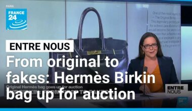 From the first to fakes: Original Hermès Birkin bag goes up for auction • FRANCE 24 English