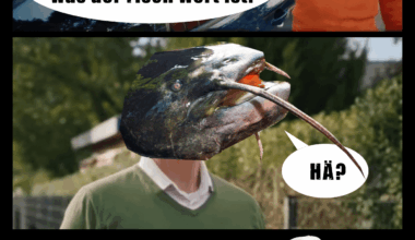 How much isse fish?