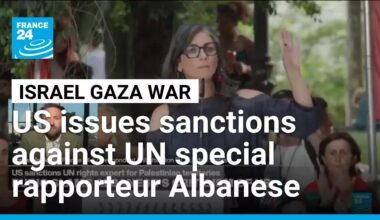 US issues sanctions against UN investigator probing abuses in Gaza • FRANCE 24 English