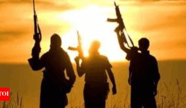 Pakistan-based terror outfits could use Nepal to launch attacks on India: Nepalese official | India News