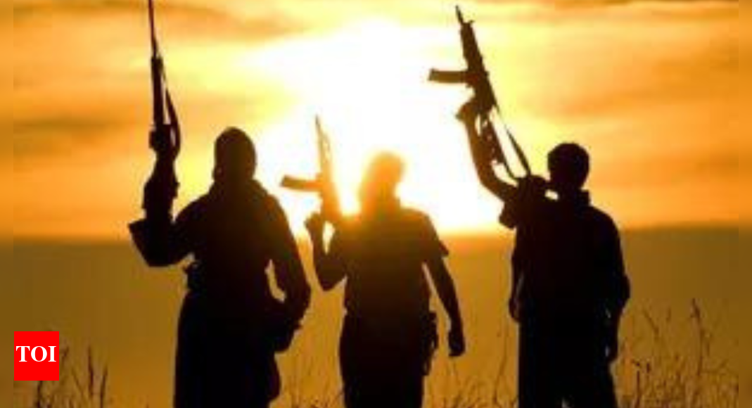 Pakistan-based terror outfits could use Nepal to launch attacks on India: Nepalese official | India News