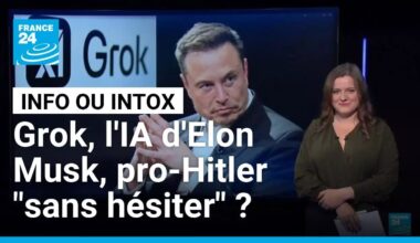 Grok : l'IA d'Elon Musk est-elle pro-Hitler "sans hésitation" ? • FRANCE 24