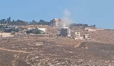 Southern Lebanon hit: Hezbollah operatives killed in Israeli strikes