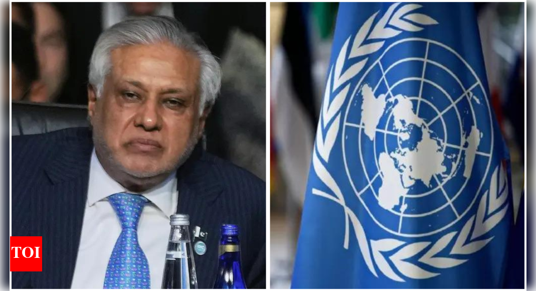 As UNSC president, Pakistan looks to up ante on Kashmir issue | India News