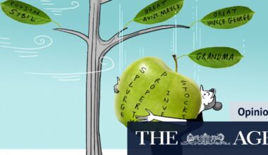 How should I spend a $500,000 inheritance, and using Australia’s First Home Super Saver scheme for a child