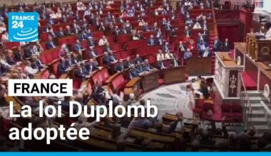Agriculture/pesticides : le Parlement adopte définitivement la loi Duplomb • FRANCE 24