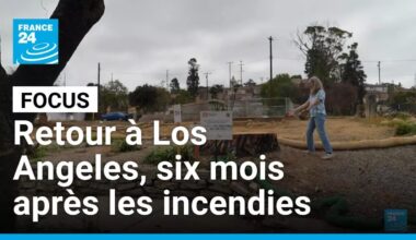 Incendies à Los Angeles : six mois après, les sinistrés toujours face au traumatisme