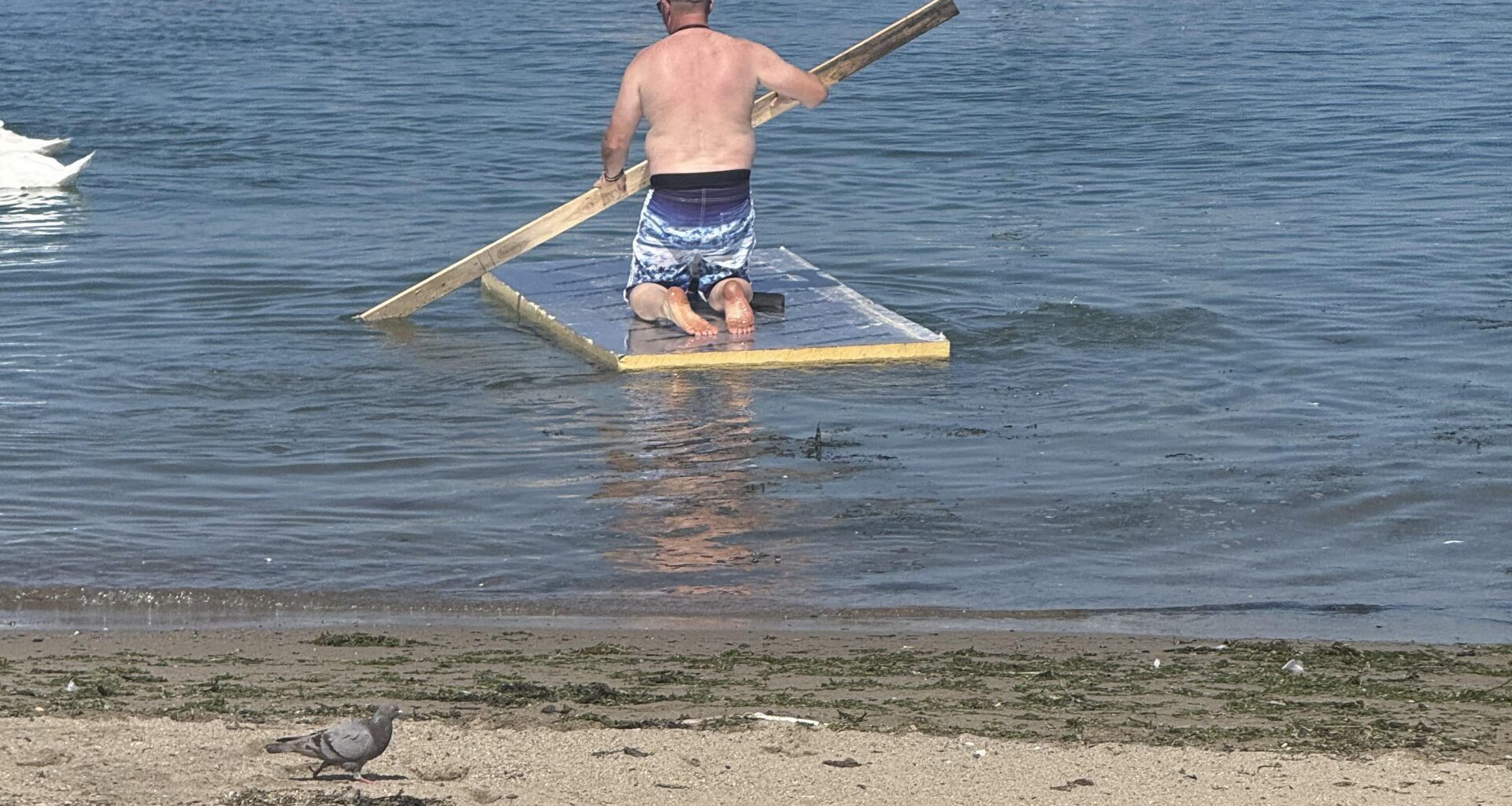 Just watched a middle-aged man row an insulation board across Bray harbour with a 2x4