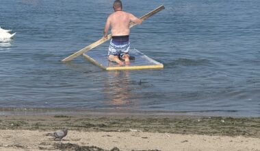 Just watched a middle-aged man row an insulation board across Bray harbour with a 2x4