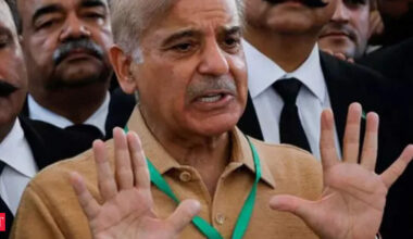 Pakistan's economic reforms under IMF's loan strong so far: IMF representative