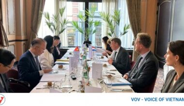 Vietnam, Netherlands hold first deputy-ministerial political consultation