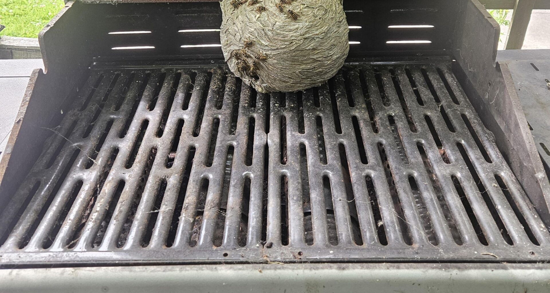 A perfect day to dust off the barbecue... oh no