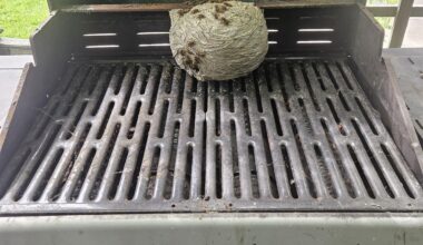 A perfect day to dust off the barbecue... oh no