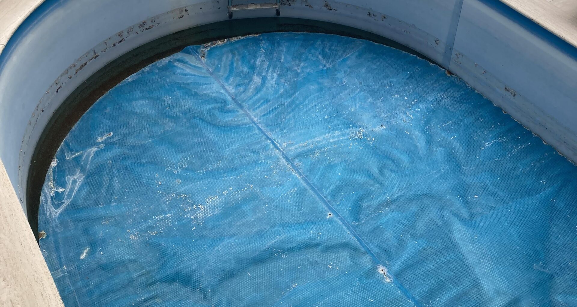 Hvad kan man bruge en Pool til - Hvis ikke til at svømme i?