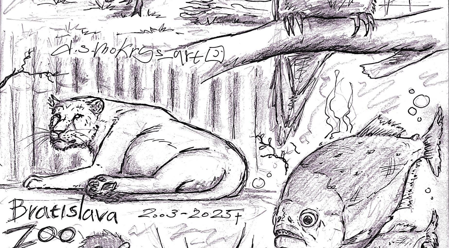 Another drawing i made at Bratislava ZOO